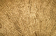 Phillips Collection Home Oversized LTL - Rate to be Quoted Phillips Collection Convergence Mirror, Resin, Gold Leaf