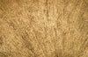 Phillips Collection Home Oversized LTL - Rate to be Quoted Phillips Collection Convergence Mirror, Resin, Gold Leaf
