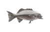 Phillips Collection Home Phillips Collection Coral Trout Fish Wall Sculpture, Resin, Silver Leaf