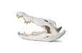 Phillips Collection Home Phillips Collection Crocodile Skull, Roman Stone, Gold Leaf