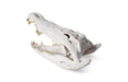 Phillips Collection Home Phillips Collection Crocodile Skull, Roman Stone, Gold Leaf