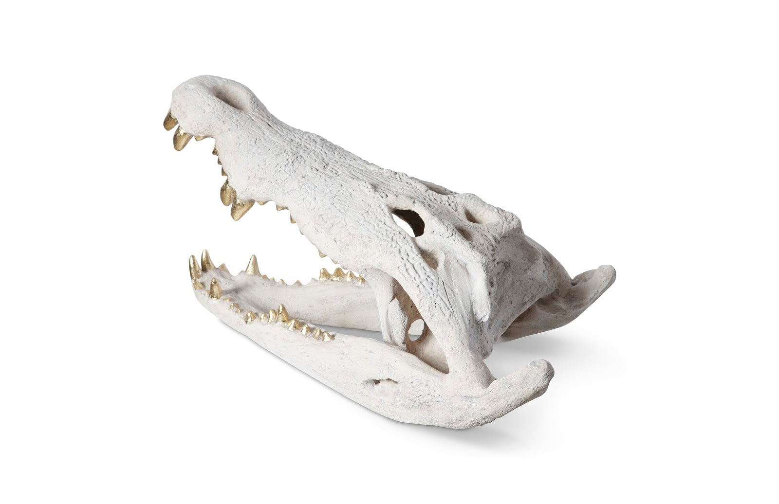 Phillips Collection Home Phillips Collection Crocodile Skull, Roman Stone, Gold Leaf