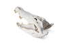 Phillips Collection Home Phillips Collection Crocodile Skull, Roman Stone, Gold Leaf