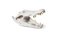 Phillips Collection Home Phillips Collection Crocodile Skull, Roman Stone, Gold Leaf