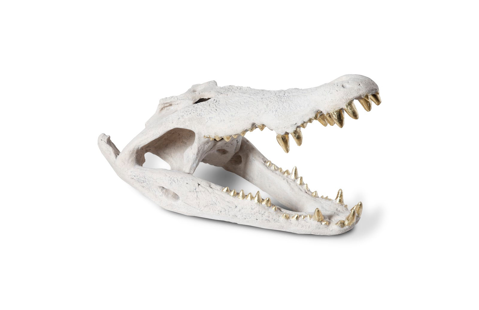 Phillips Collection Home Phillips Collection Crocodile Skull, Roman Stone, Gold Leaf