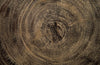 Phillips Collection Home Phillips Collection Crosscut Coffee Table, Gray Stone, Forged Legs