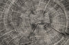 Phillips Collection Home Phillips Collection Curved Wood Stool, Thin, Gray Stone