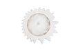 Phillips Collection Home Phillips Collection Dahlia Flower Wall Art, White Stone