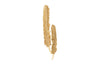 Phillips Collection Home Phillips Collection Feathers Wall Art, Large, Gold Leaf, Set of 2