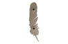 Phillips Collection Home Phillips Collection Feathers Wall Art, Large, Silver Leaf, Set of 2