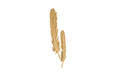 Phillips Collection Home Phillips Collection Feathers Wall Art, Small, Gold Leaf, Set of 2