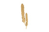 Phillips Collection Home Phillips Collection Feathers Wall Art, Small, Gold Leaf, Set of 2