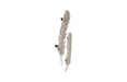 Phillips Collection Home Phillips Collection Feathers Wall Art, Small, Silver Leaf, Set of 2