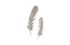 Phillips Collection Home Phillips Collection Feathers Wall Art, Small, Silver Leaf, Set of 2
