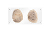 Phillips Collection Home Phillips Collection Floating Petrified Double Slice Wall Art