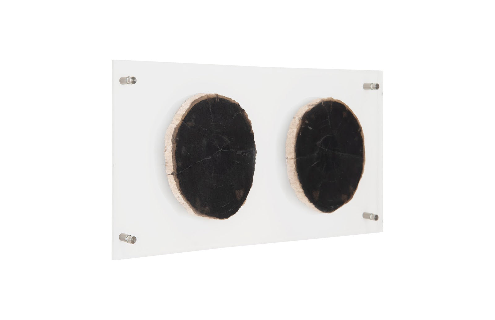Phillips Collection Home Phillips Collection Floating Petrified Double Slice Wall Art