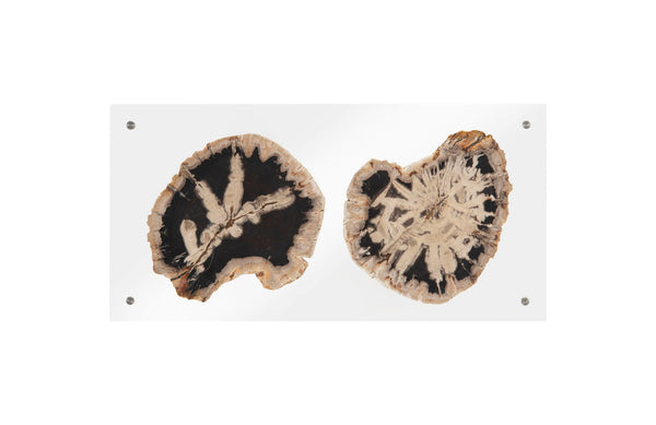 Phillips Collection Home Phillips Collection Floating Petrified Double Slice Wall Art