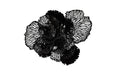 Phillips Collection Home Oversized LTL - Rate to be Quoted Phillips Collection Flower Wall Art, Large, Black, Metal