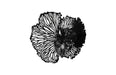 Phillips Collection Home Phillips Collection Flower Wall Art, Medium, Black, Metal