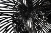 Phillips Collection Home Phillips Collection Flower Wall Art, Medium, Black, Metal