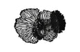 Phillips Collection Home Phillips Collection Flower Wall Art, Medium, Black, Metal