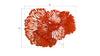 Phillips Collection Home Phillips Collection Flower Wall Art, Small, Coral, Metal