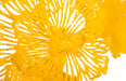 Phillips Collection Home Phillips Collection Flower Wall Art, Small, Dandelion, Metal