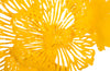 Phillips Collection Home Phillips Collection Flower Wall Art, Small, Dandelion, Metal