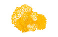 Phillips Collection Home Phillips Collection Flower Wall Art, Small, Dandelion, Metal