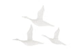 Phillips Collection Home Phillips Collection Flying Ducks, Gel Coat White, Set of 3