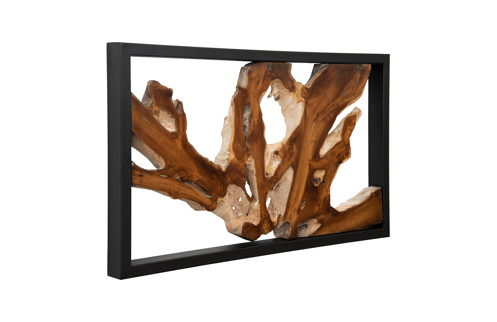 Phillips Collection Home Phillips Collection Framed Root Wall Art, Rectangle, Black