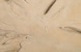 Phillips Collection Home Oversized LTL - Rate to be Quoted Phillips Collection Freeform Wall Art, Large, Roman Stone