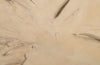 Phillips Collection Home Oversized LTL - Rate to be Quoted Phillips Collection Freeform Wall Art, Large, Roman Stone