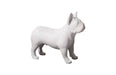 Phillips Collection Home Phillips Collection French Bulldog, Gel Coat White