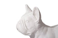 Phillips Collection Home Phillips Collection French Bulldog, Gel Coat White