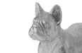 Phillips Collection Home Phillips Collection French Bulldog, Silver