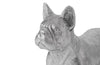 Phillips Collection Home Phillips Collection French Bulldog, Silver