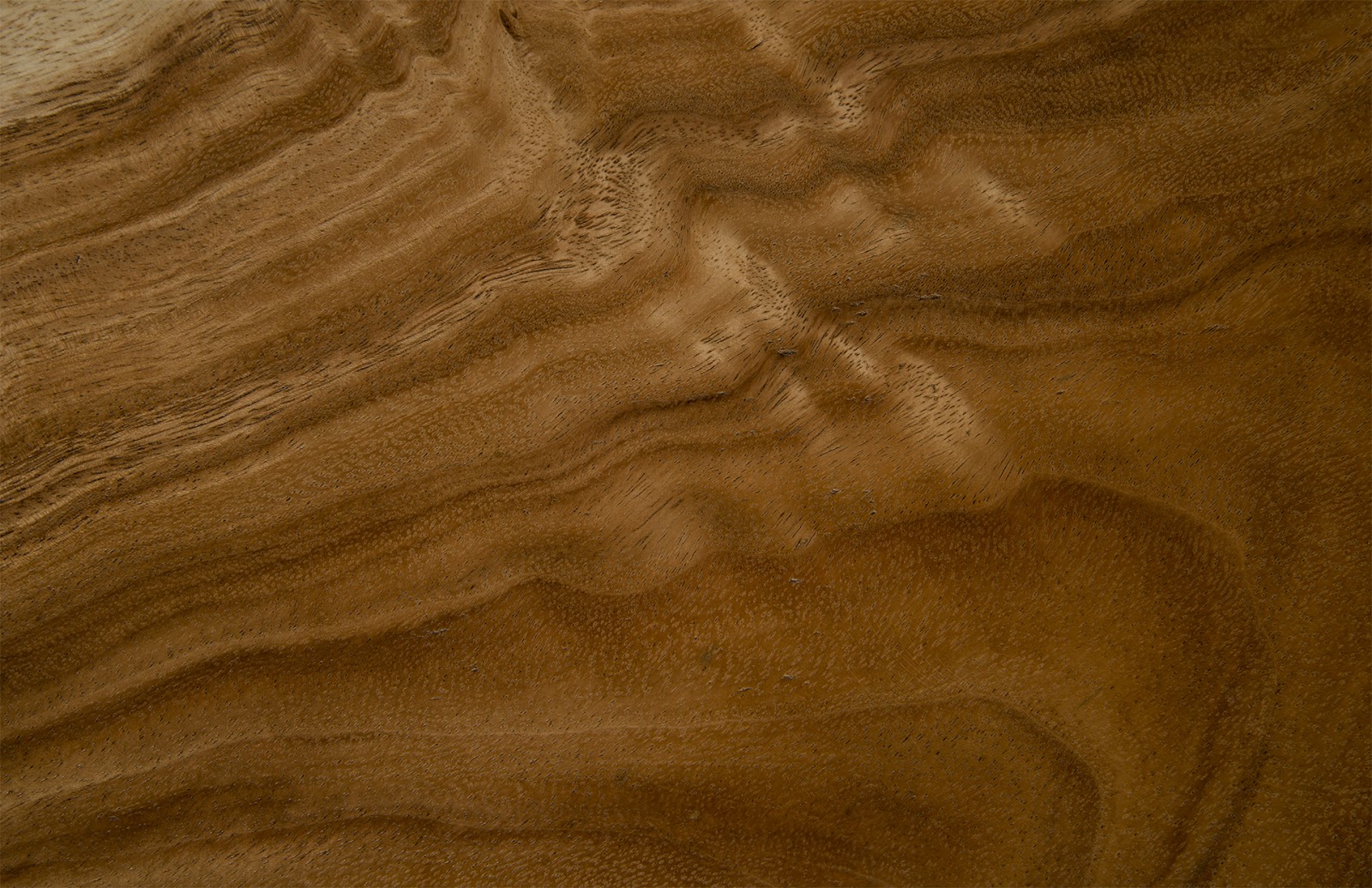 Phillips Collection Home Phillips Collection Geometry Side Table