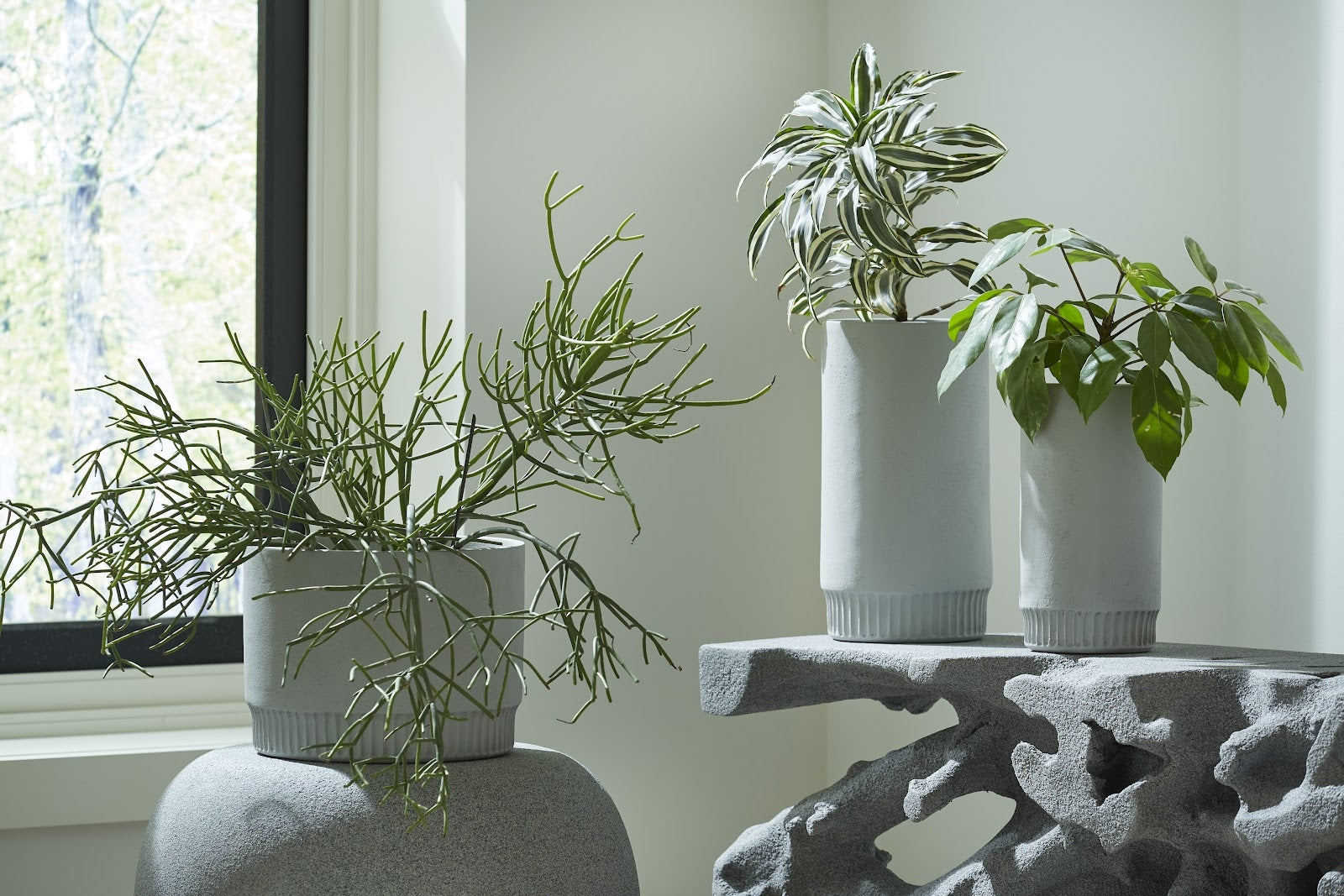 Phillips Collection Home Phillips Collection Harvest Planter, Large, Light Gray