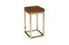 Phillips Collection Home Phillips Collection Hayden End Table, Natural, Narrow, Square, Plated Brass Base
