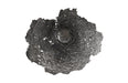 Phillips Collection Home Phillips Collection Jagged Splash Bowl Wall Art, Liquid Sliver