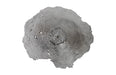 Phillips Collection Home Phillips Collection Jagged Splash Bowl Wall Art, Liquid Sliver