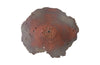 Phillips Collection Home Phillips Collection Jagged Splash Bowl Wall Art, Oxidized Copper Finish