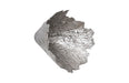 Phillips Collection Home Phillips Collection Jagged Splash Bowl Wall Art, Silver Leaf