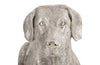 Phillips Collection Home Oversized LTL - Rate to be Quoted Phillips Collection Labrador, Laying, Silver Leaf