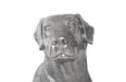 Phillips Collection Home Phillips Collection Labrador, Liquid Silver