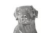 Phillips Collection Home Phillips Collection Labrador, Liquid Silver