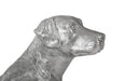 Phillips Collection Home Phillips Collection Labrador, Liquid Silver
