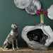 Phillips Collection Home Phillips Collection Labrador, Liquid Silver
