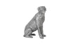 Phillips Collection Home Phillips Collection Labrador, Liquid Silver